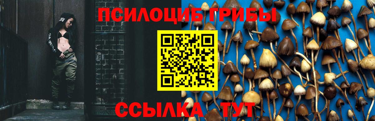 Солнечногорск  Псилоцибиновые грибы Magic Shrooms  Вход с VPN  Псилоцибиновые грибы GOLDEN TEACHER 